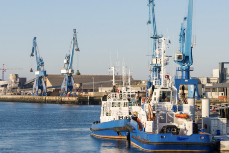 Fermeture du Golfe de Gascogne : le besoin de protéger et de connaître