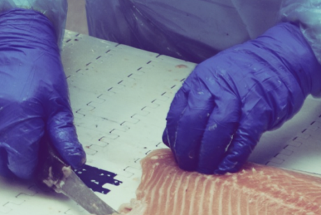 Ma proposition de loi visant à protéger les travailleuses et travailleurs de la mer