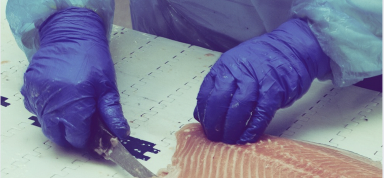 Damien Girard - Ma proposition de loi visant à protéger les travailleuses et travailleurs de la mer